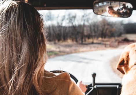 En Auto88 te ayudamos a encontrar tu coche ideal